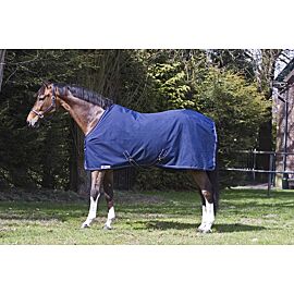 Dominick Stable Lite Plus | 200G